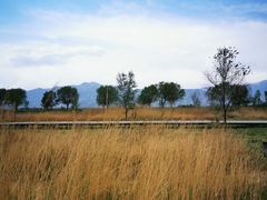 -野鸭湖国家湿地公园