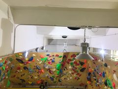 -问山MountQuest攀岩馆