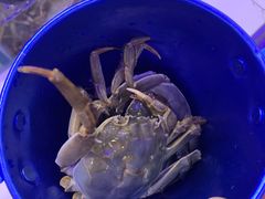 -澜悦港海鲜体验主题餐厅