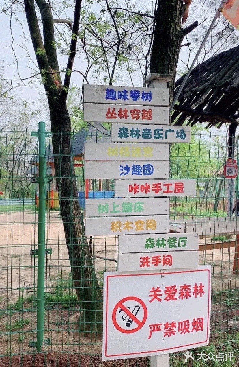 开心的一天