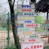 开心的一天