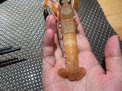 -酒久自助料理(佳兆业店)