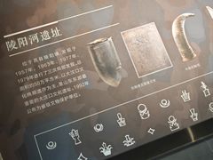 -日照市博物馆