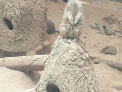 -昆明动物园