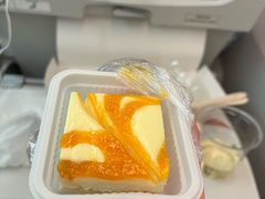 -海南海航航空信息系统公司