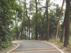 -广州市帽峰山景区