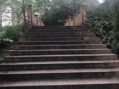 -晓港公园
