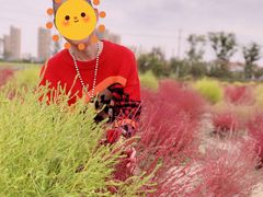 -映月湖中央公园