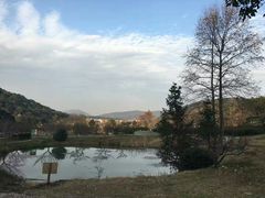 -龙寺生态园