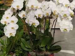 -兰陵国家农业公园