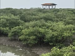 -北海金海湾红树林生态旅游区