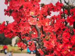 -鸡鸣汤包(广东路店)