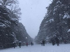 -北海道神宫