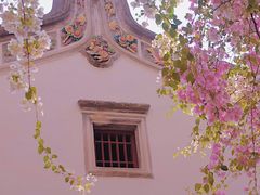 -深圳国际园林花卉博览园