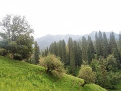 -新疆那拉提国家旅游度假区
