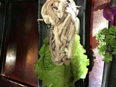 -鼎尊锅物料理(五角场店)