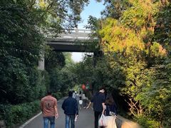 -云龙山