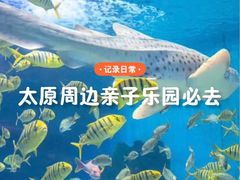 -泉城欧乐堡海洋极地世界