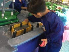 -中国宋庆龄青少年科技文化交流中心