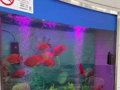 -雅悦齿科(顾村公园店)