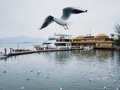 -多哥水傣味餐厅(司马巷店)