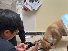 -美联众合动物医院·24h转诊中心