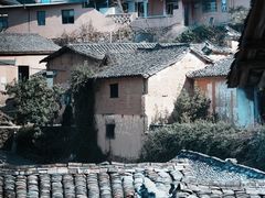 -杨家堂村