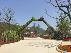 -苏州乐园森林水世界