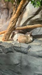 -Zoolung Zoolung动物主题公园(海信广场店)