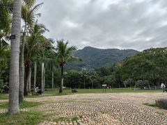 -深圳仙湖植物园