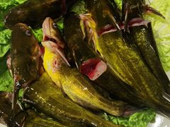 -亮欢寨(凯里总店)