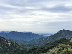 -大岭沟猕猴桃谷风景区