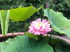 -李叔同故居纪念馆