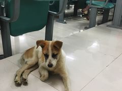 -南京理工大学紫金学院