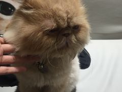 -小时光咖啡馆(开森度假森林店)