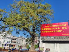-龙川佗城