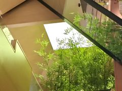 -初蓉丨遇见新川菜(亲贤街荣耀店)