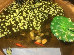 -董府·古宅餐厅