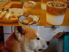 -餐酒吧Com-ing Bar(上海路店)