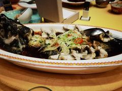 老虎斑-白家大院·王府宫廷菜(苏州街店)