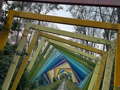 -合肥滨湖国家森林公园