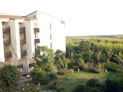 -上海崇明金茂凯悦酒店