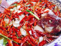 东星斑-宁波状元楼酒店(和义路店)