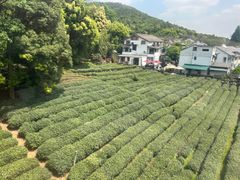 -灵顺寺
