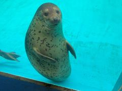 -珠海长隆海洋王国
