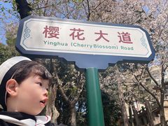 -武汉大学-樱园