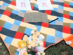 -天津武清北运河郊野公园房车露营地