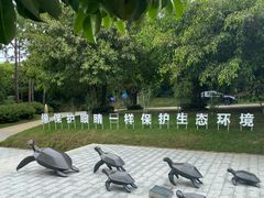 -广东惠东海龟国家级自然保护区
