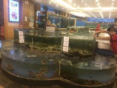 -大东方海鲜酒楼(小武基桥店)