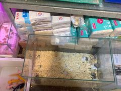-双季花艺园艺市场(浦东店)
